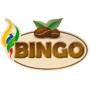 Bingo